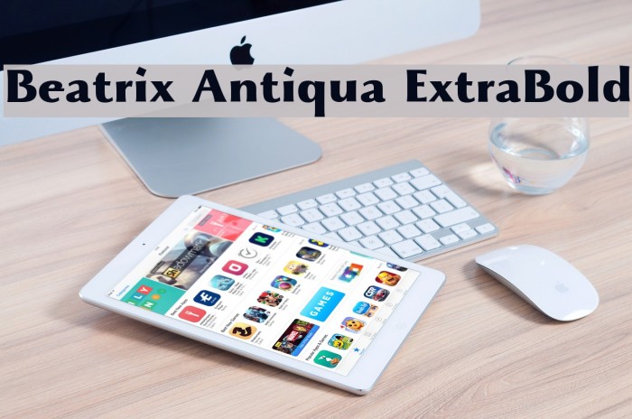 Beatrix Antiqua ExtraBold Font examples