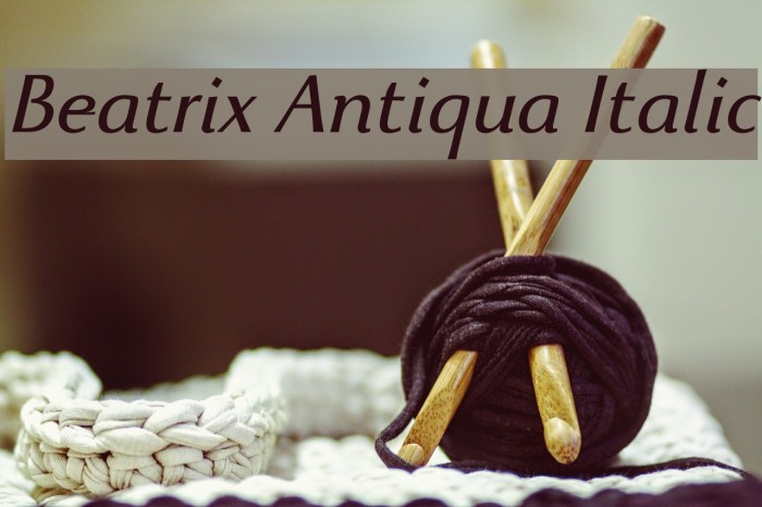 Beatrix Antiqua Italic Font examples