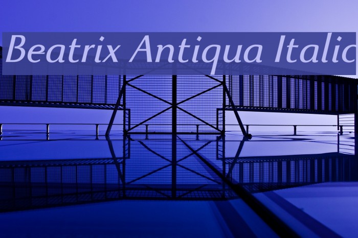 Beatrix Antiqua Italic Font examples