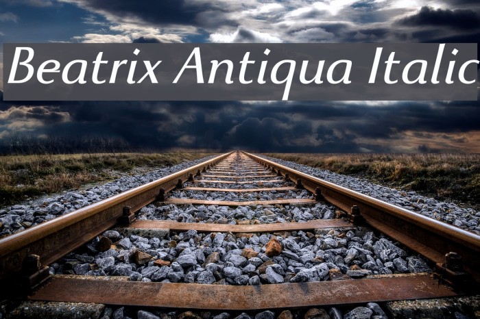 Beatrix Antiqua Italic Font examples