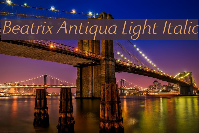 Beatrix Antiqua Light Italic Example 1