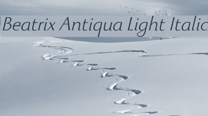 Beatrix Antiqua Light Italic Example 3