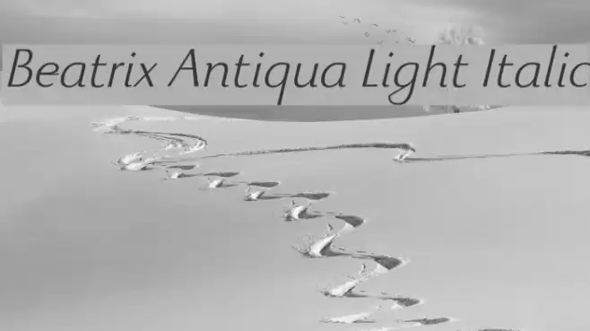 Beatrix Antiqua Light Italic Font examples