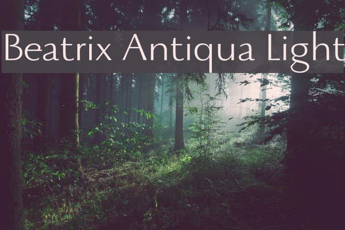 Beatrix Antiqua Light Font examples