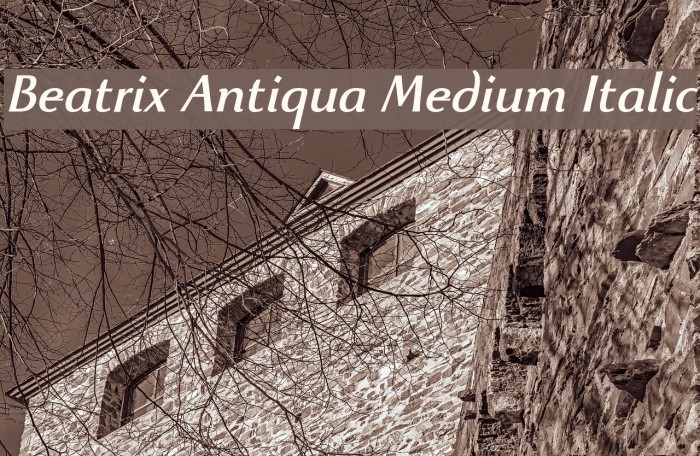 Beatrix Antiqua Medium Italic Font examples