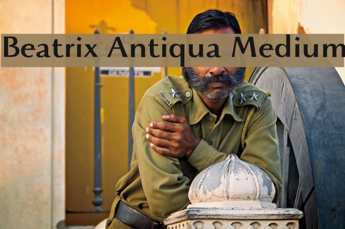 Beatrix Antiqua Medium Example 1