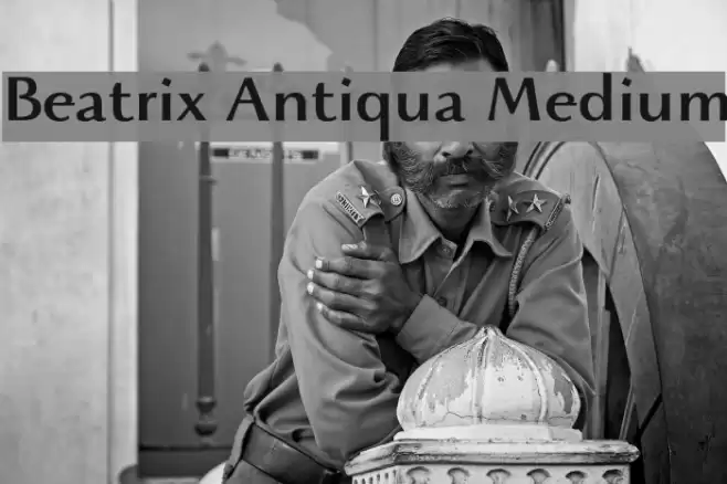 Beatrix Antiqua Medium Font examples
