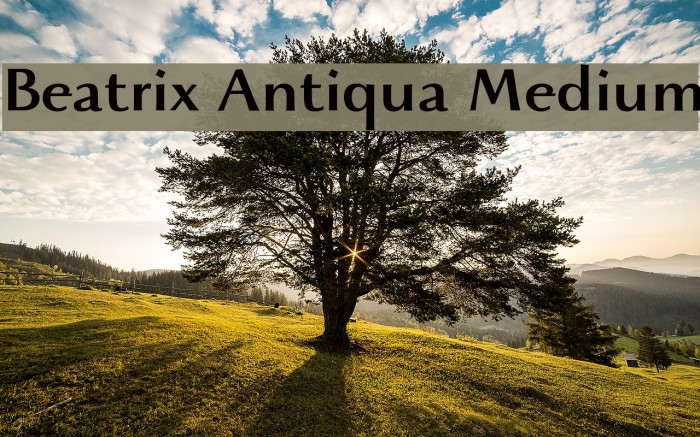 Beatrix Antiqua Medium Example 2