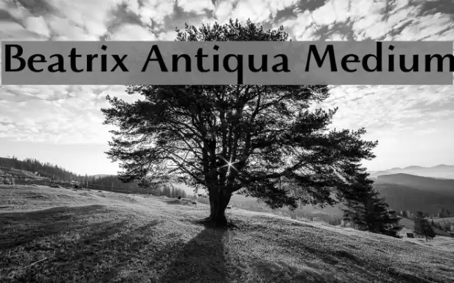 Beatrix Antiqua Medium Font examples
