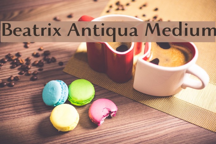 Beatrix Antiqua Medium Example 3