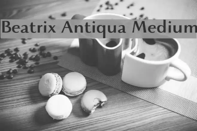 Beatrix Antiqua Medium Font examples