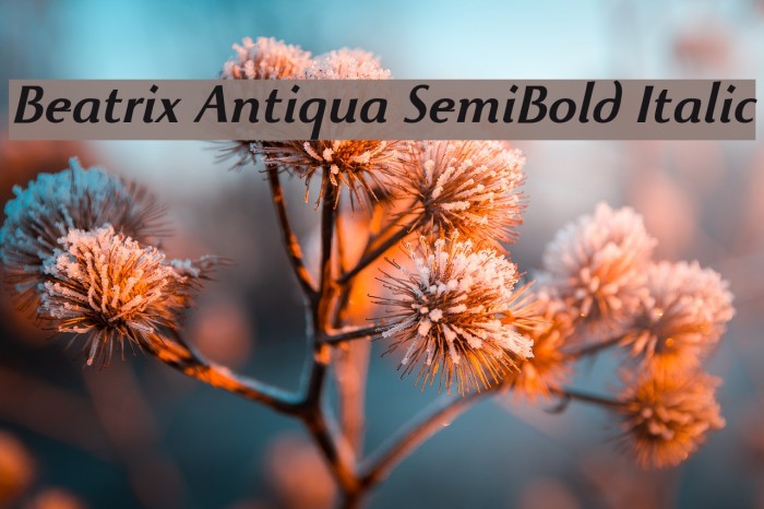Beatrix Antiqua SemiBold Italic Example 3