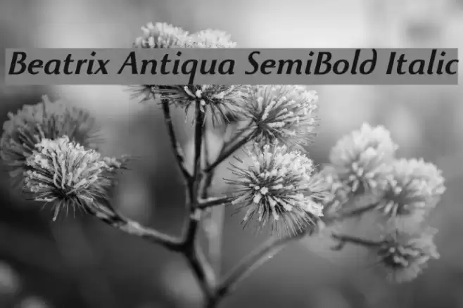 Beatrix Antiqua SemiBold Italic Font examples