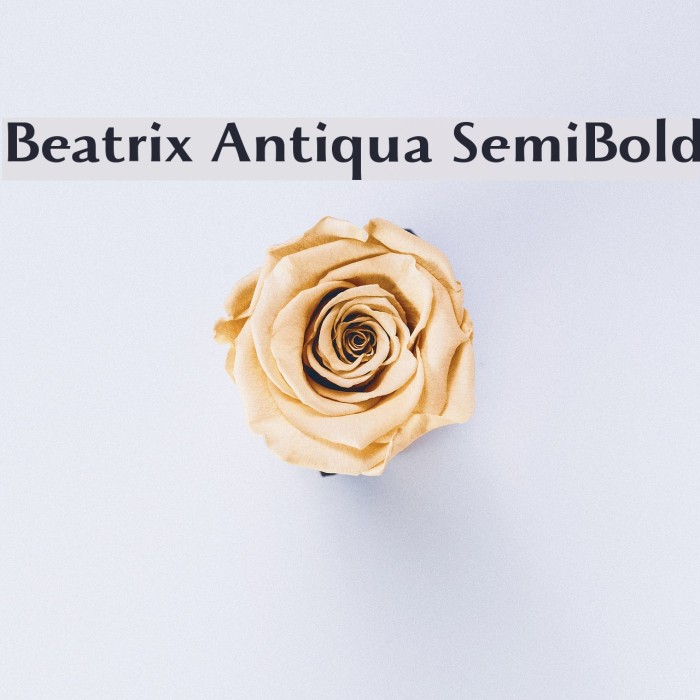 Beatrix Antiqua SemiBold Example 3