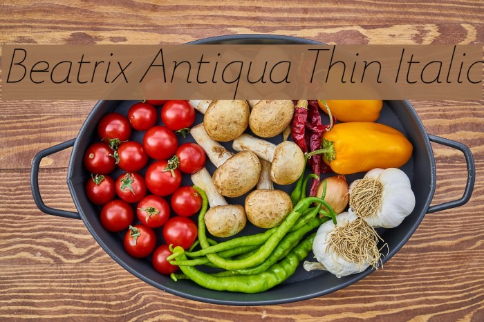 Beatrix Antiqua Thin Italic Font examples