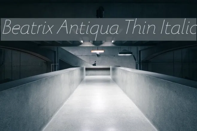 Beatrix Antiqua Thin Italic Example 3