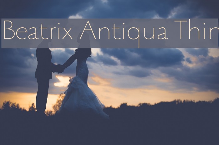Beatrix Antiqua Thin Font examples