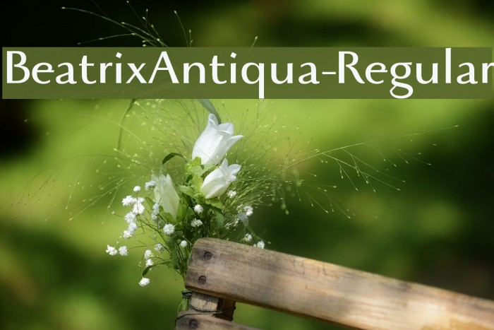 BeatrixAntiqua-Regular Example 1