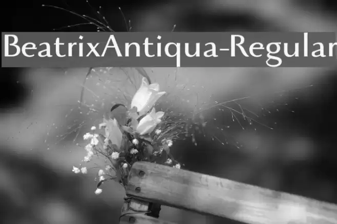BeatrixAntiqua-Regular Font examples