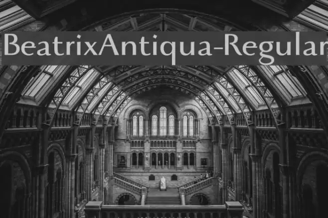 BeatrixAntiqua-Regular Font examples