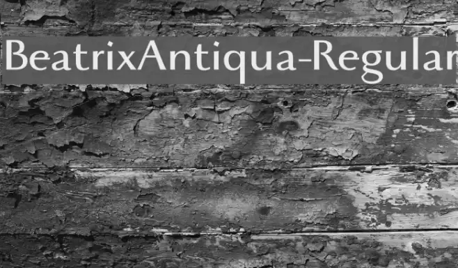BeatrixAntiqua-Regular Font examples