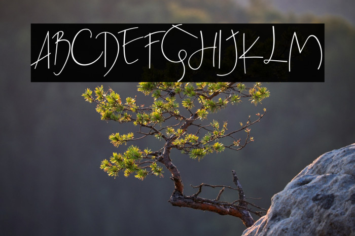 BeatrixSignature Example 1