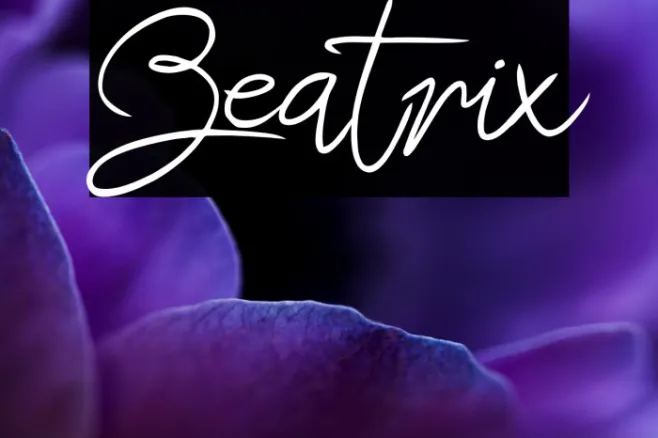 Beatrix Example 2
