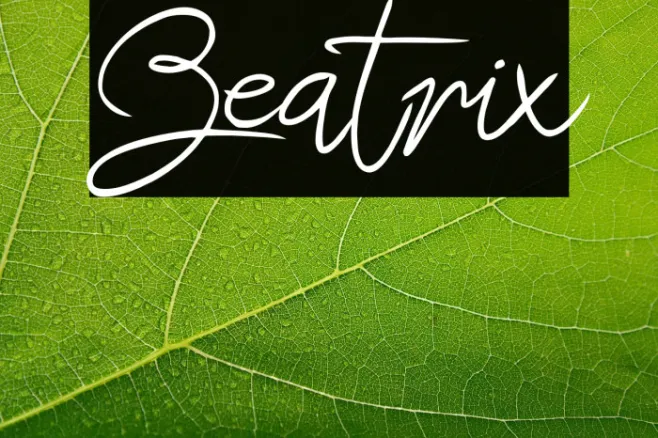 Beatrix Example 3