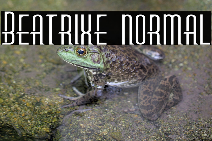 Beatrixe normal Example 3