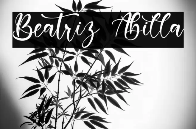 Beatriz Abilla Font examples