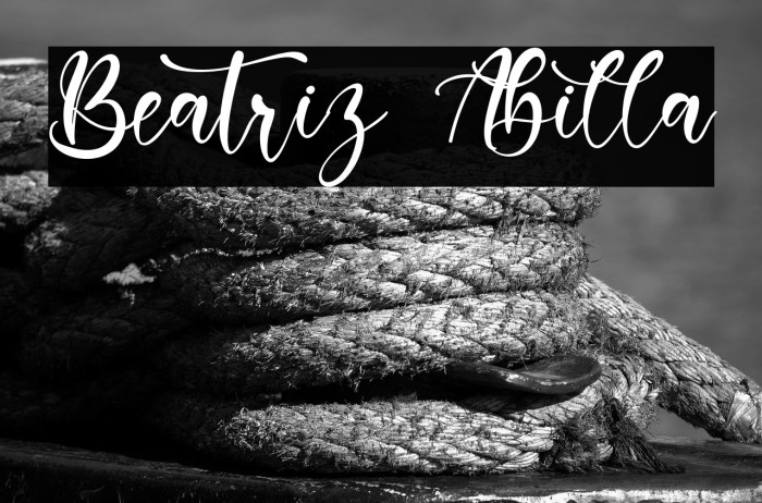 Beatriz Abilla Example 2