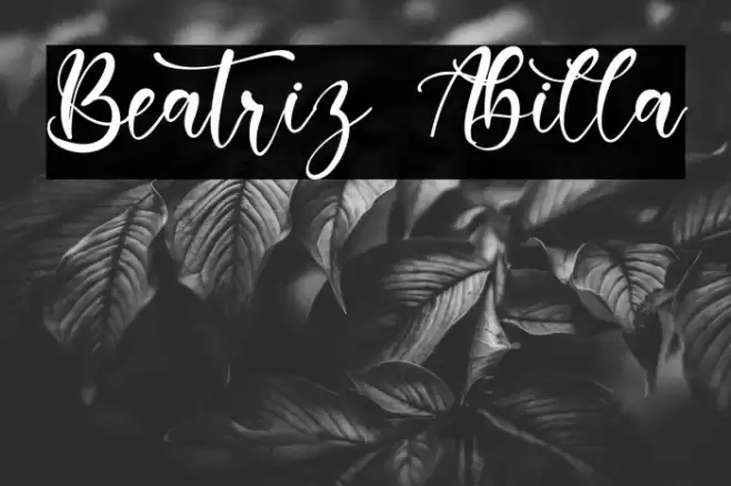 Beatriz Abilla Font examples