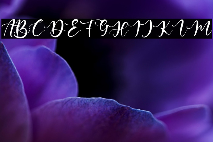 BeatrizAbilla Example 1