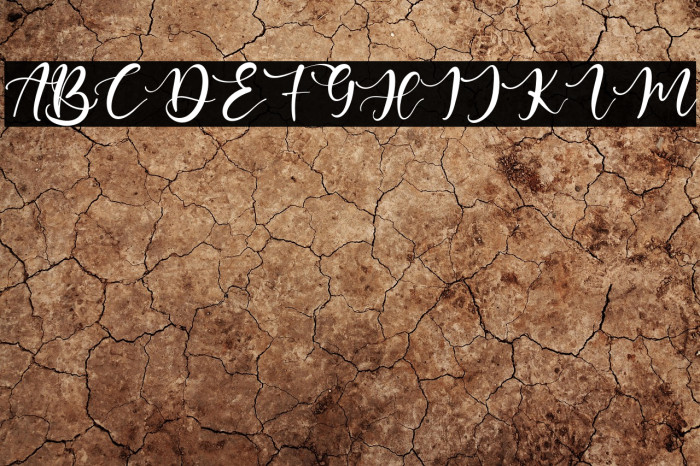 BeatrizAbilla Example 2