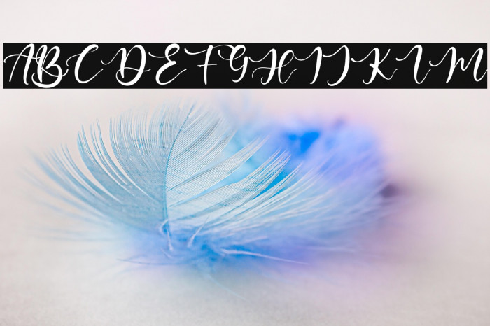 BeatrizAbilla Example 3