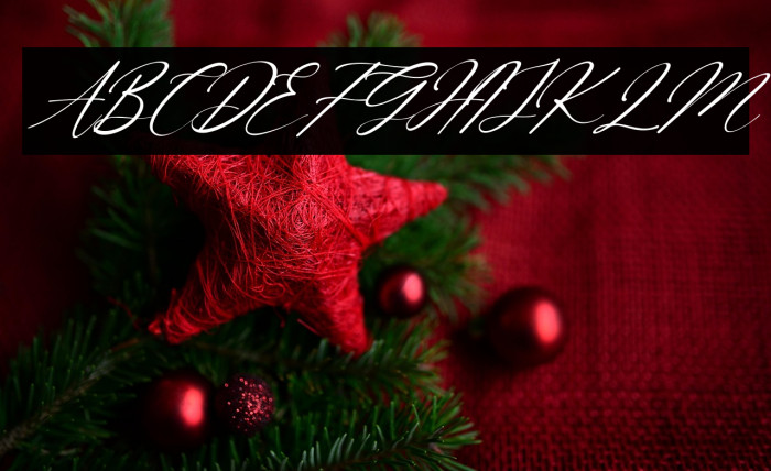 Beattrice Italic Example 1