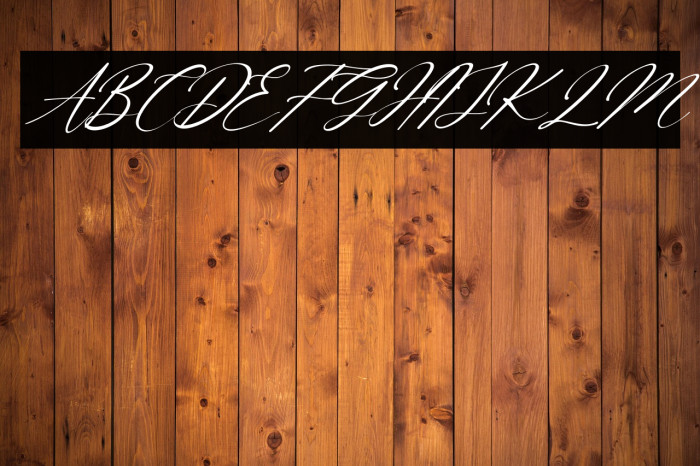 Beattrice Italic Example 3