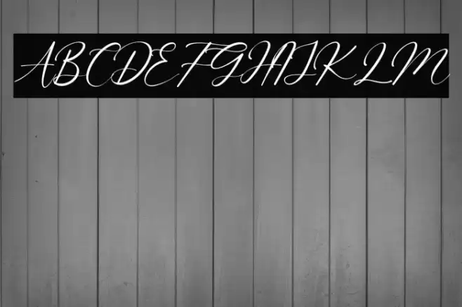 Beattrice Font examples