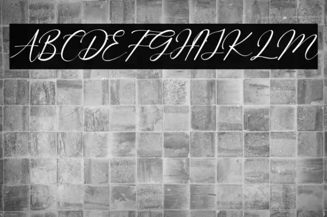 Beattrice Font examples