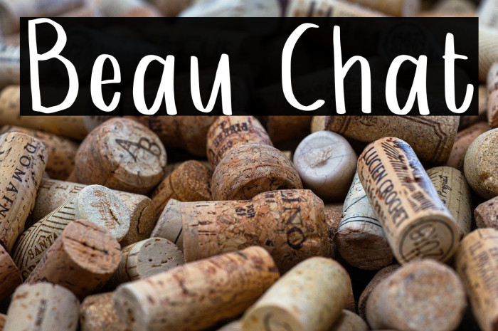Beau Chat Example 1