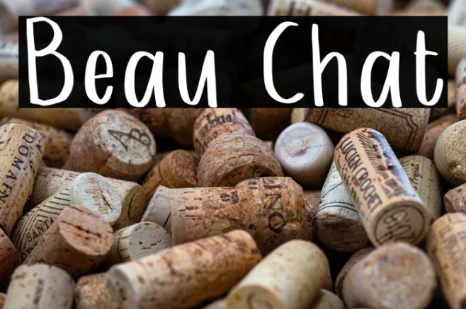 Beau Chat Example 1