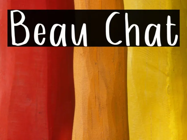 Beau Chat Example 2