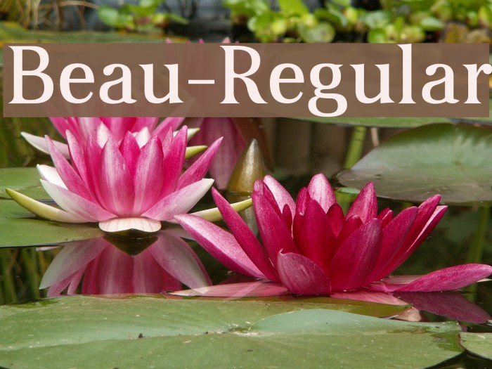 Beau-Regular Font examples