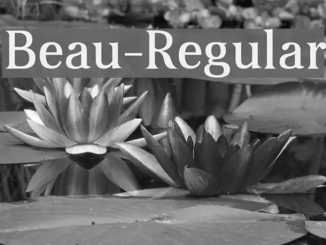 Beau-Regular examples