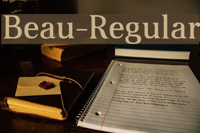 Beau-Regular Font examples