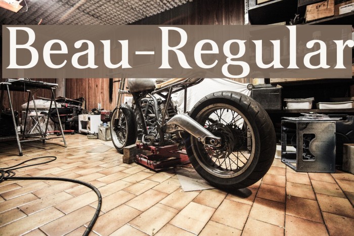 Beau-Regular Font examples