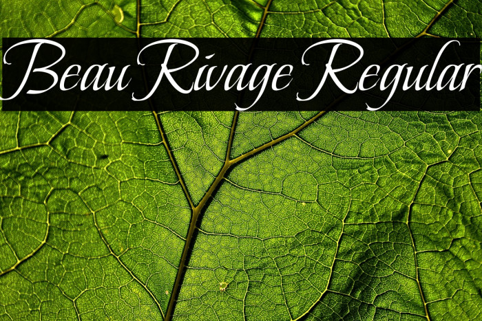 Beau Rivage Regular Example 3