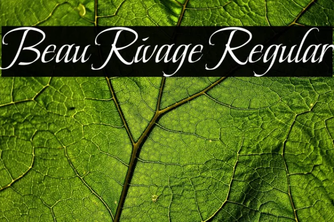 Beau Rivage Regular Example 3