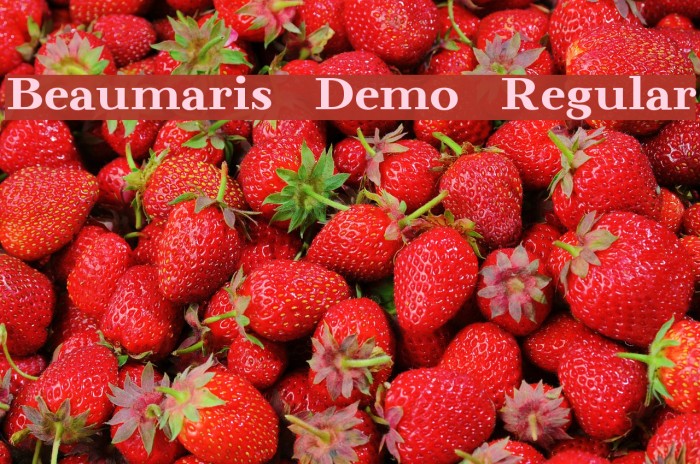 Beaumaris Demo Regular Font examples