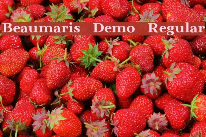 Beaumaris Demo Regular Example 2